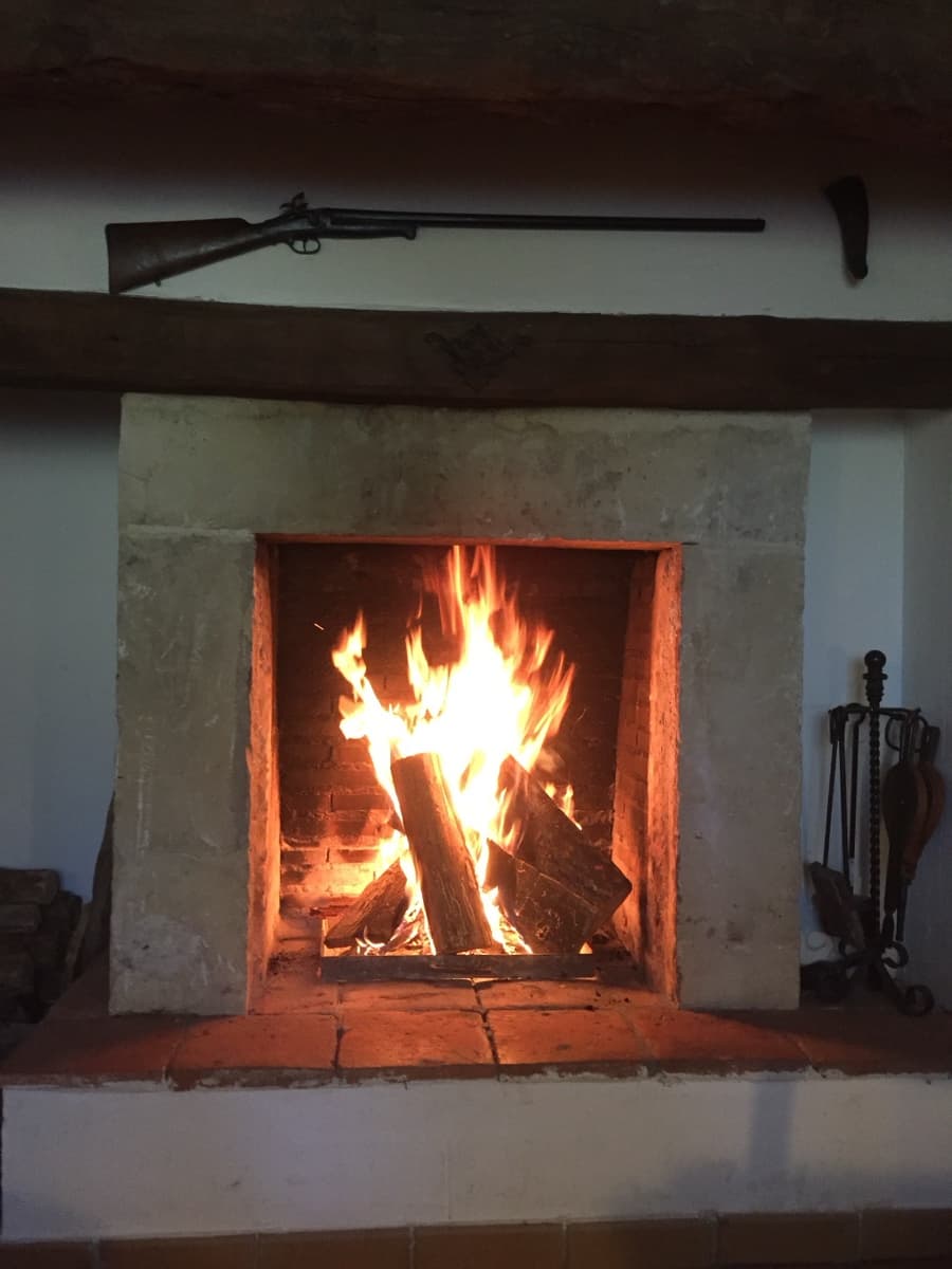 Chimenea de piedra encendida en la casa